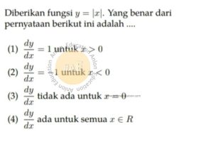 Turunan Simak UI Matematika IPA 2010 Kode 503 Nomor 12 anloneducation.com_marked