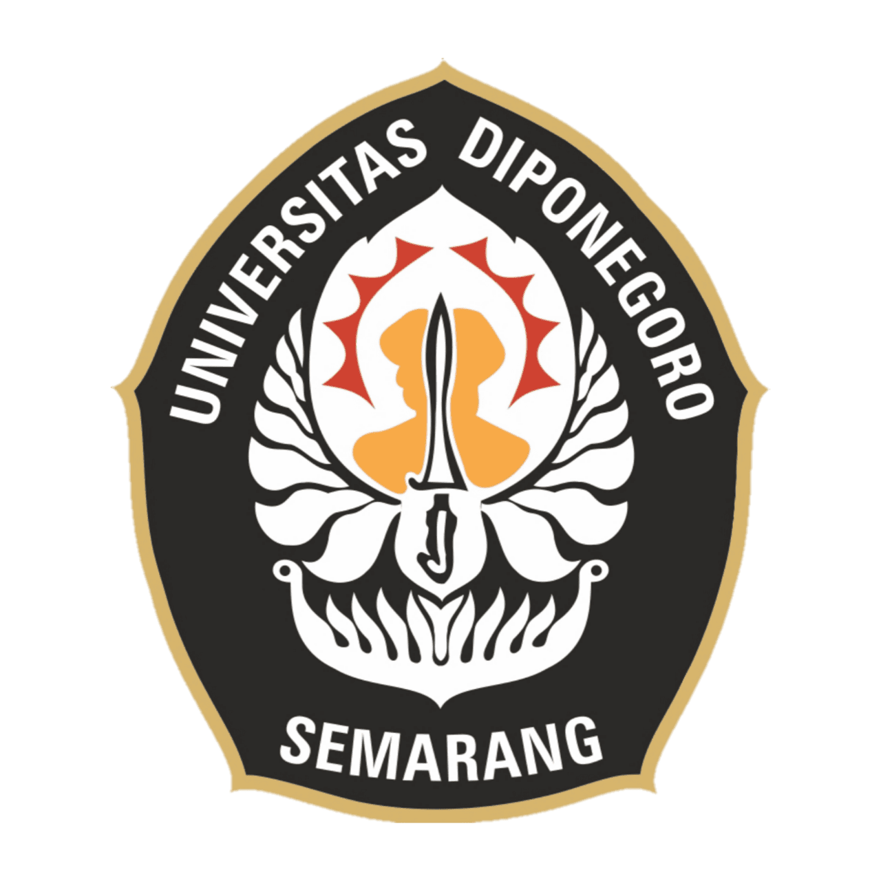 UM UNDIP
